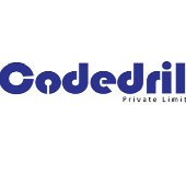 CodeDrill Infotech Pvt. Ltd. 